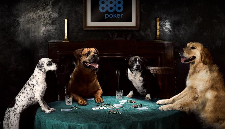 888 poker customer service 888 poker customer service