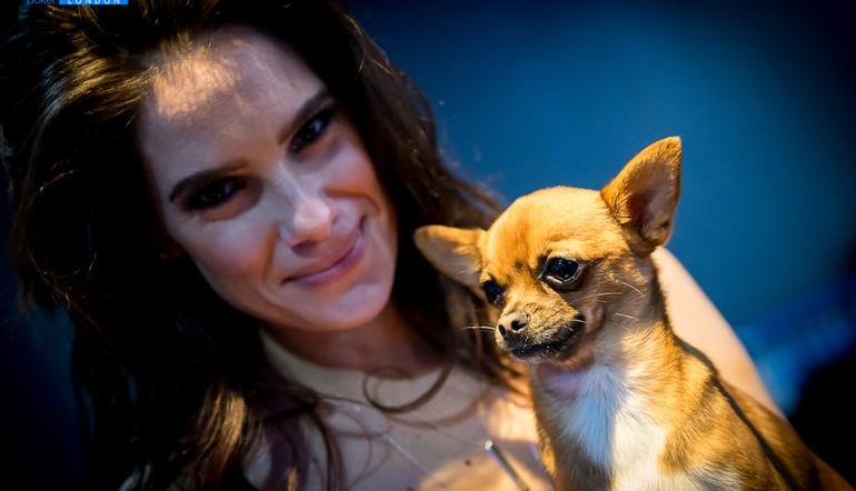 Dogs Playing Poker 24 Fun Facts About Card Playing Canines